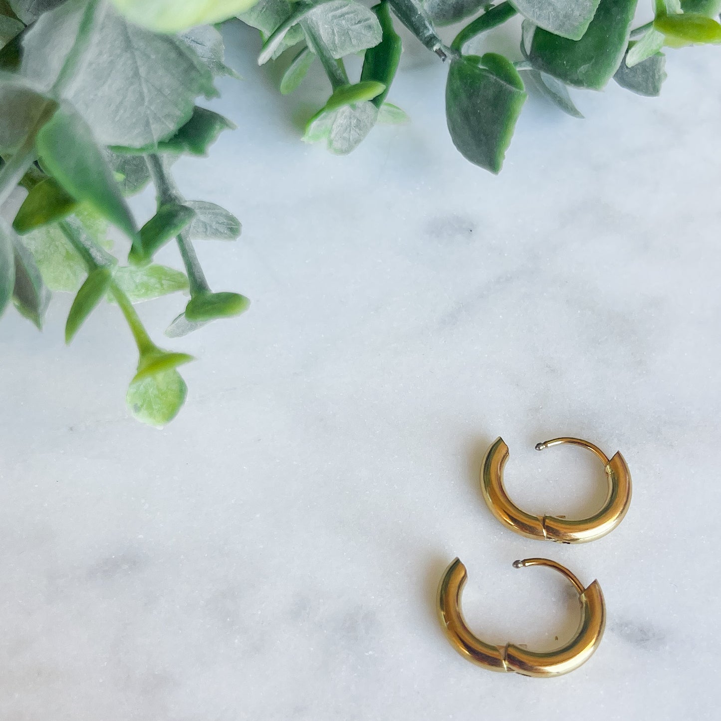 Sophia Hoops