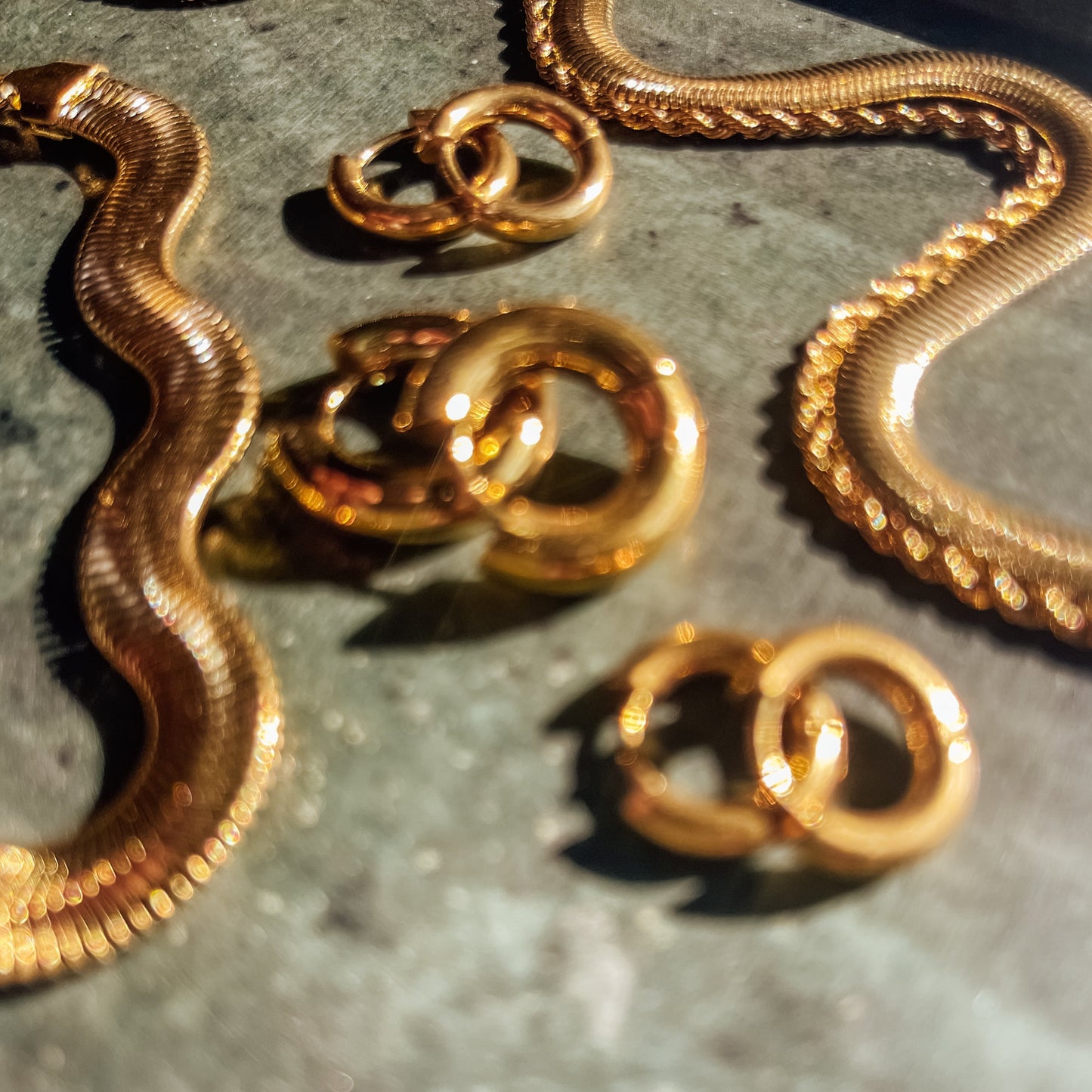 Sophia Hoops